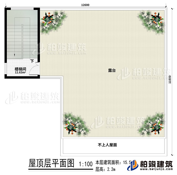 房頂：樓梯間、露臺