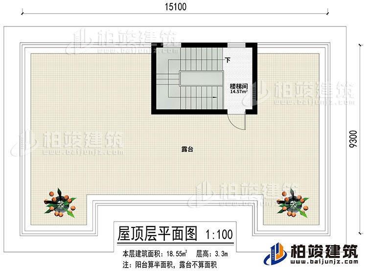 屋頂：樓梯間、露臺(tái)